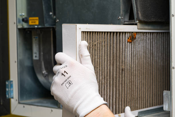 Best Home Air Vent Cleaning  in Pittsburg, TX